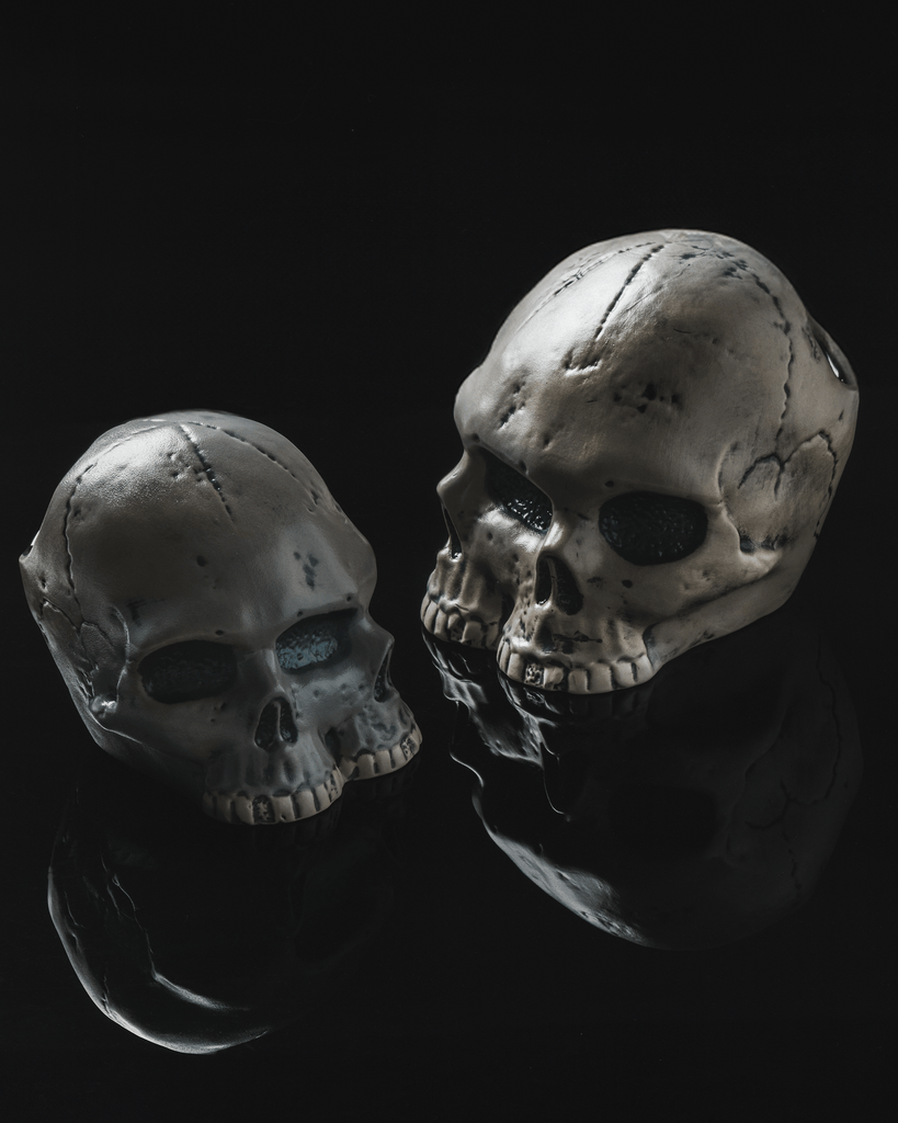 CUSTOM MUGS Large Conjoined Skulls Cocktail Mug